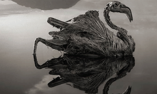 മരവിച്ച ജഡങ്ങള്‍ പാറ പോലെ ഉറയ്ക്കുന്ന തടാകം