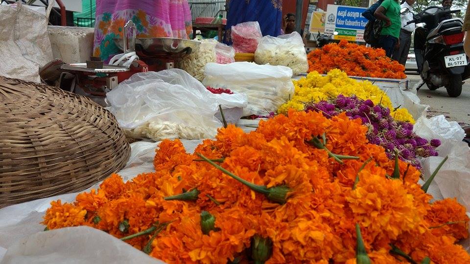 ഓണപ്പൊലിമയിൽ നാടൊരുങ്ങി; ഇന്ന് ഉത്രാടപാച്ചിൽ