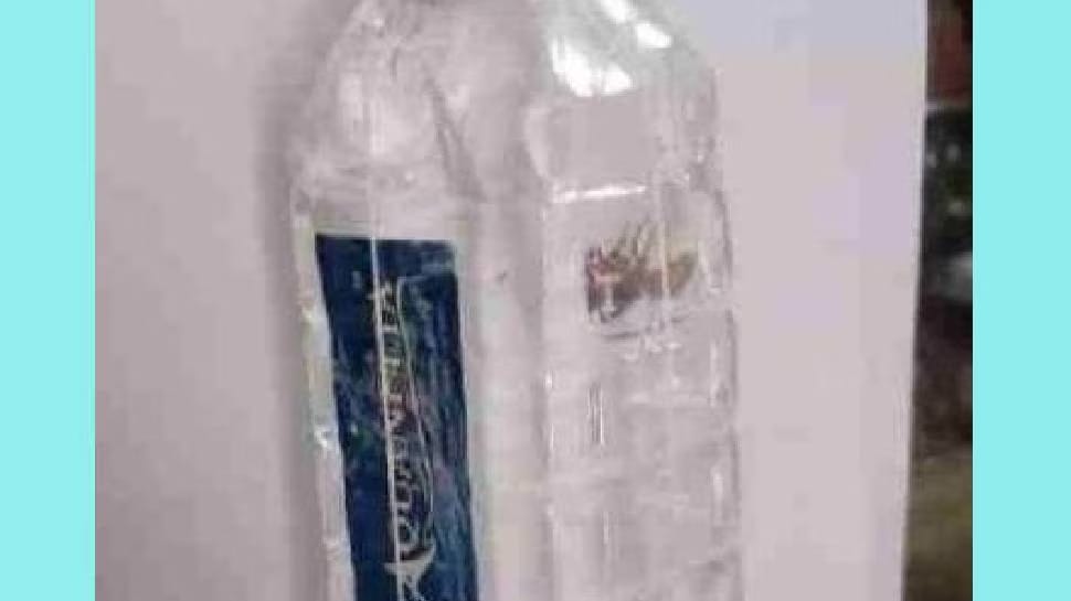 മലപ്പുറത്ത് കുപ്പിവെളളത്തിൽ ചത്ത ചിലന്തി; നിർ​മാ​ണ കമ്പനിക്ക് വന്‍ പിഴ