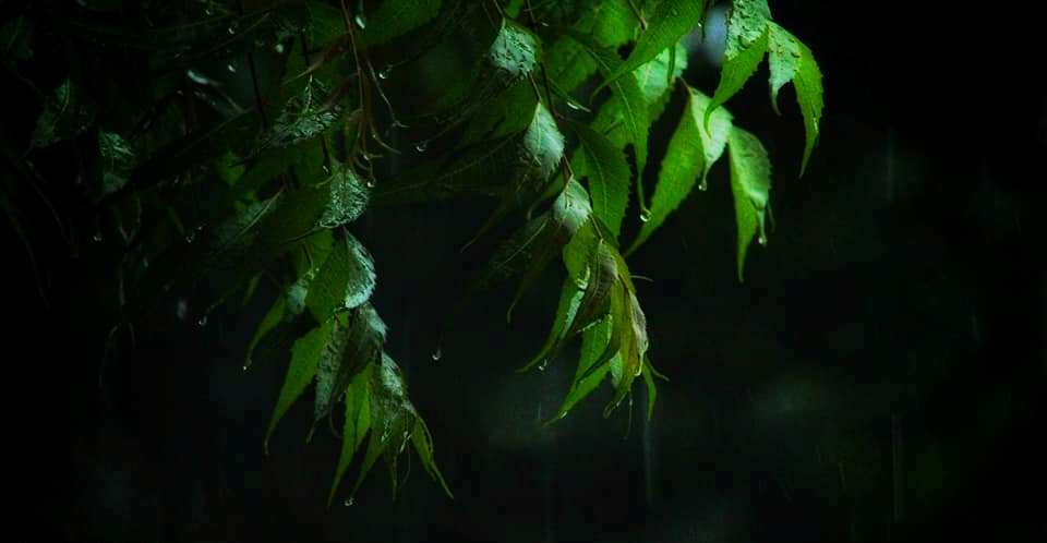 പെയ്തൊഴിഞ്ഞത് ഇന്ത്യൻ ചരിത്രത്തിലെ 'വരണ്ട' ജൂൺ മാസം