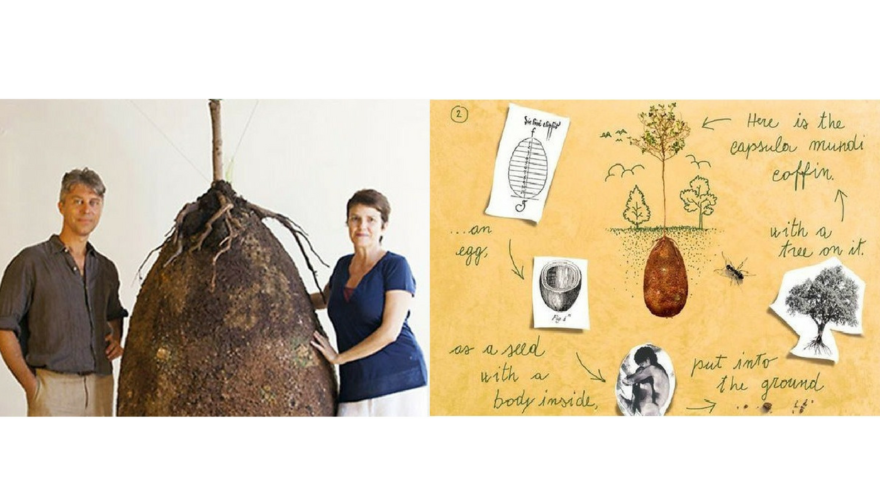 ശവപെട്ടികള്‍ക്ക് വിട പറയാം , മരണശേഷം ശരീരം ഒരു വൃക്ഷമായി വളരട്ടെ