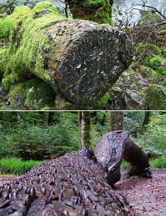 ഒടുവില്‍ പണം കായ്ക്കുന്ന മരം കണ്ടെത്തി; സംഭവം ഇതാണ്