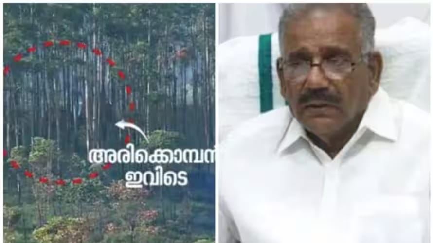 അരിക്കൊമ്പൻ ദൗത്യം ഇന്ന് തന്നെ ലക്ഷ്യത്തിലെത്തും, കാലാവസ്ഥ അനുകൂലം: എ.കെ. ശശീന്ദ്രൻ