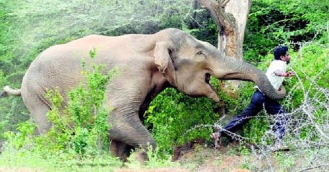 ക്ഷണിച്ചു വരുത്തുന്ന അപകടങ്ങള്‍