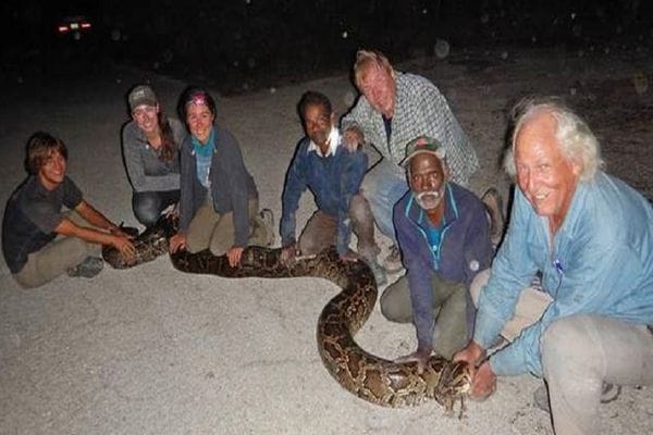 ഫ്‌ളോറിഡയിലെ പെരുമ്പാമ്പുകളെ പിടികൂടാന്‍ ഇങ്ങു തമിഴ്നാട്ടില്‍ നിന്നും രണ്ടു രക്ഷകര്‍