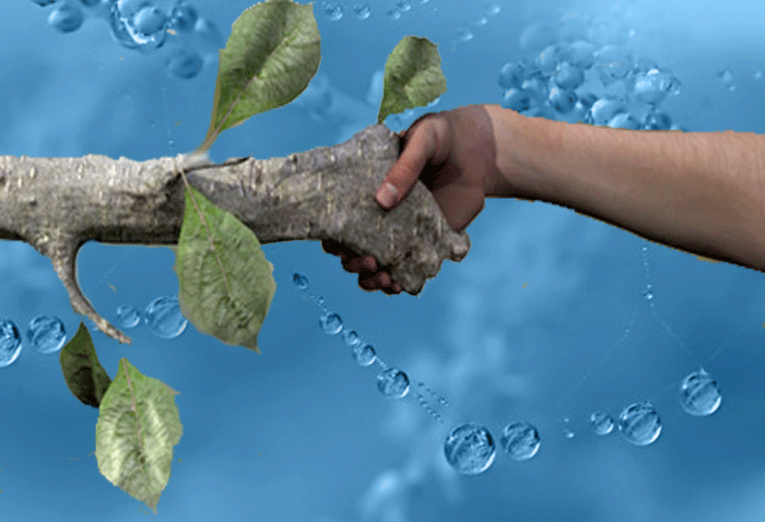 ഫ്ലാറ്റിന്‍റെ നാലാം നിലയിൽ നിന്നു വീണ ഒരുവയസ്സുകാരനെ മരം രക്ഷിച്ചു