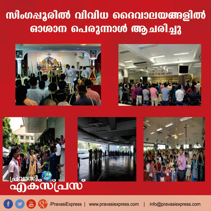 സിംഗപ്പൂരിലെ വിവിധ ക്രൈസ്തവ ദൈവാലയങ്ങളില്‍ ഓശാനപ്പെരുന്നാള്‍ ആചരിച്ചു