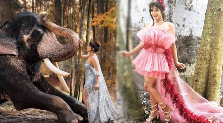 കൊമ്പനാനയ്‌ക്കൊപ്പം സാക്ഷി അഗര്‍വാള്‍; വൈറലായി ഫോട്ടോ ഷൂട്ട്