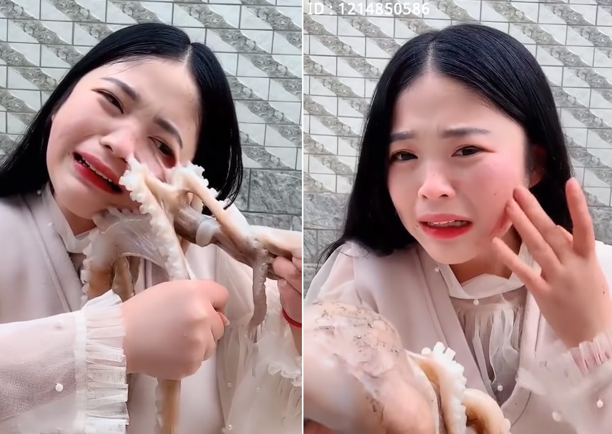 ലൈവായി ജീവനുള്ള നീരാളിയെ തിന്നാന്‍ നോക്കി;  എട്ടിന്റെ പണി തിരിച്ച്  കൊടുത്ത്  നീരാളി; വീഡിയോ