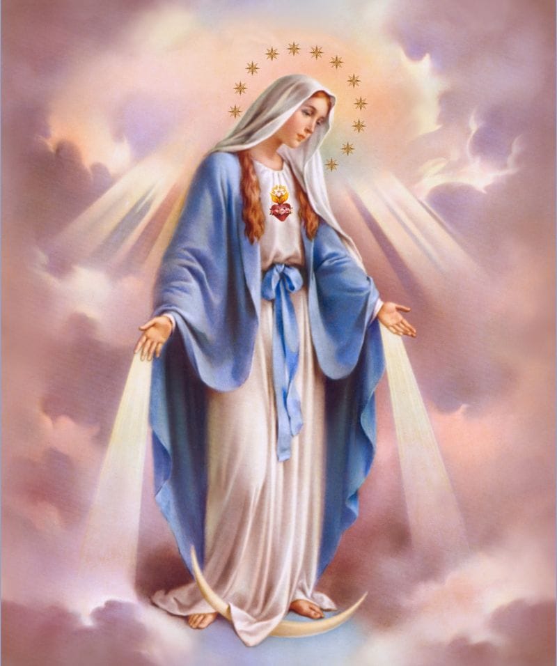 സ്റ്റീവനേജില്‍ അമലോത്ഭവ മാതാവിന്‍റെ തിരുന്നാള്‍ സെപ്തംബര്‍ 17 ന്