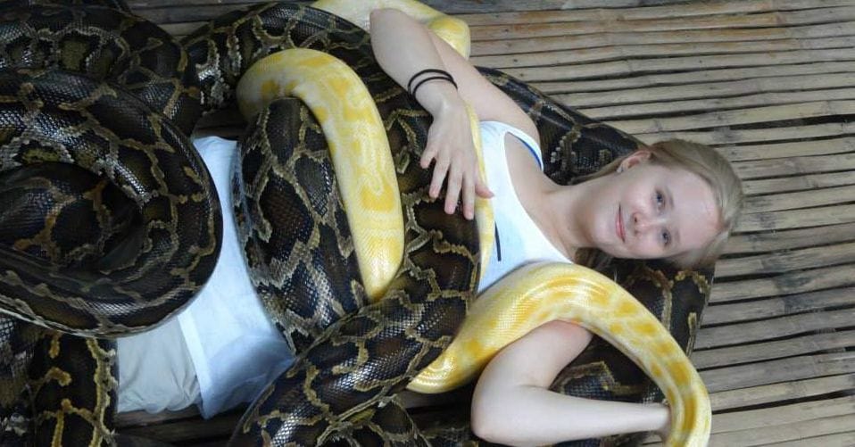 ഇത്  ഇത്തിരി കടന്ന കൈയായി പോയല്ലോ!; ഭീമന്‍ പെരുമ്പാമ്പു​കളെ കൊണ്ട് ഒരുഗ്രന്‍ മസ്സാജ് ; ഞെട്ടിക്കുന്ന വീഡിയോ കാണാം