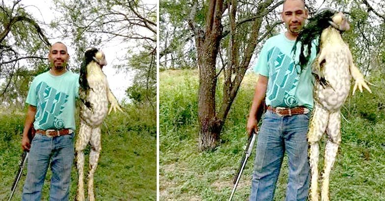 എന്റമ്മോ ഇതെന്തു സാധനം; കൂറ്റന്‍ രാക്ഷസത്തവളയുടെ ഞെട്ടിക്കുന്ന ദൃശ്യങ്ങള്‍