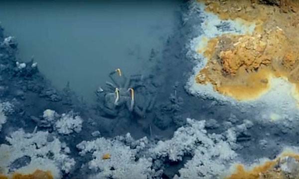 കടലിനടിയില്‍  3300 അടി താഴ്ചയില്‍ ഒരു തടകം; മനുഷ്യന്‍ ഇവിടേയ്ക്ക് നീന്തിച്ചെന്നാൽ ആ നിമിഷം മരിക്കും