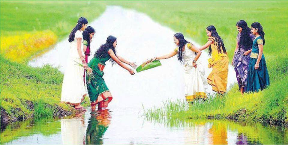 പാടം പൂത്തകാലം...