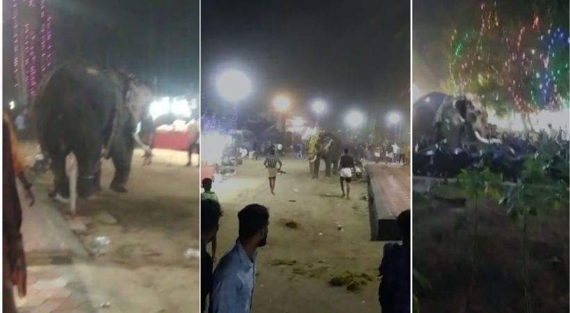 അയിരൂരില്‍ ഉത്സവത്തിനിടെ തിടമ്പേറ്റിയ ആന വിരണ്ടോടി; ഒരാള്‍ക്ക് പരുക്ക്