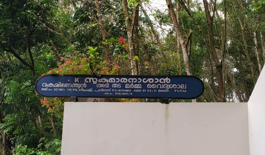പത്മനാഭന്‍റെ മണ്ണിലെ അശ്വനീ ദേവൻ