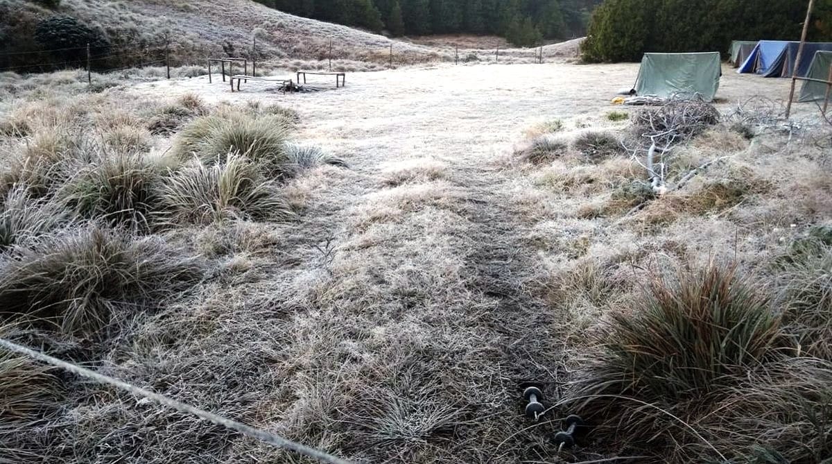 തണുത്തുറഞ്ഞ് മൂന്നാർ, താപനില മൈനസ് ഒന്നിൽ; ശബരിമലയിൽ ഈ സീസണിലെ ഏറ്റവും കൂടിയ തണുപ്പ്
