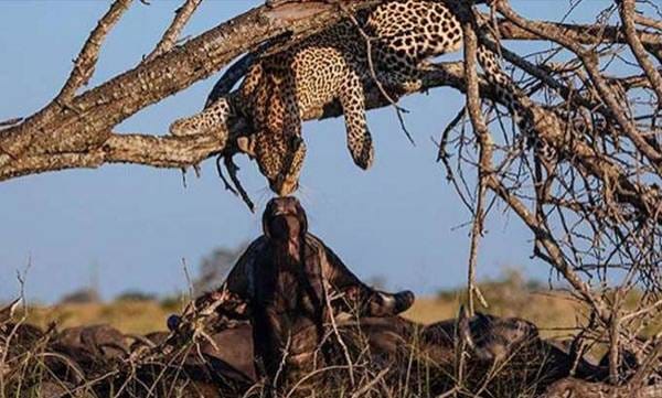 ഈ ചിത്രത്തിന് പിന്നിലെ സത്യം അറിയാമോ ?