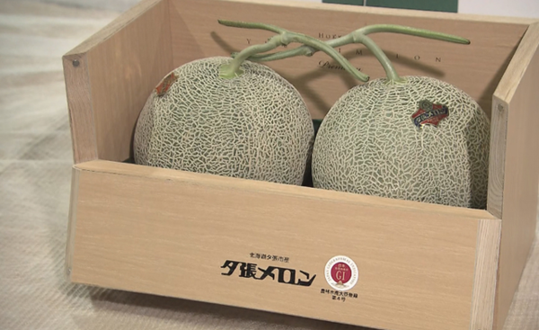 എന്റമോ...; രണ്ട്‍  മത്തങ്ങയ്ക്ക്  30 ലക്ഷം രൂപ!