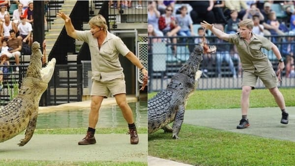 അതേ സ്ഥലം, അതേ മുതല രണ്ട് ചിത്രങ്ങള്‍ക്കും ഇടയില്‍ 15 വര്‍ഷത്തെ അകലം;  അച്ഛനെ അനുകരിച്ച് സ്റ്റീവ് ഇർവിന്റെ മകൻ