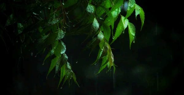 പെയ്തൊഴിഞ്ഞത് ഇന്ത്യൻ ചരിത്രത്തിലെ 'വരണ്ട' ജൂൺ മാസം