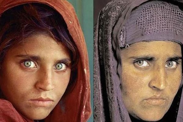 ഷര്‍ബത്ത് ഗുല ഇന്ത്യയിലേക്ക്