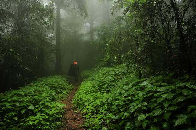 പോകാം അഗുംബയിലെക്കൊരു മഴയാത്ര