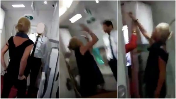 മദ്യം കൊടുത്തില്ല: വിമാന ജീവനക്കാരന്റെ മുഖത്തു തുപ്പി; ഐറിഷ് വനിതയ്ക്ക്  തടവുശിക്ഷ