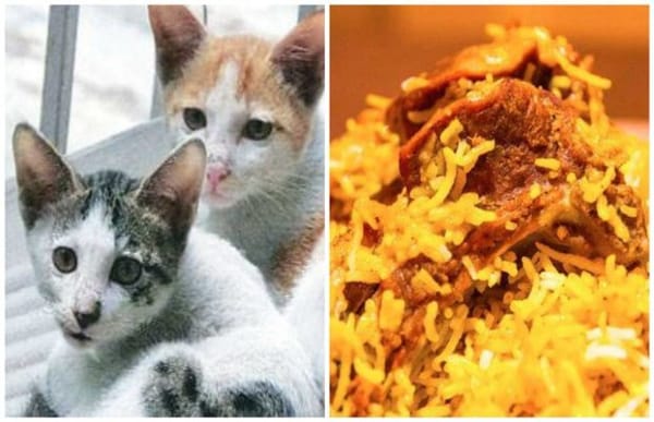 ചെന്നൈ തെരുവുകളിൽ നിന്ന് ബിരിയാണി വാങ്ങി കഴിക്കുമ്പോൾ ഒന്ന് സൂക്ഷിച്ചോളൂ.