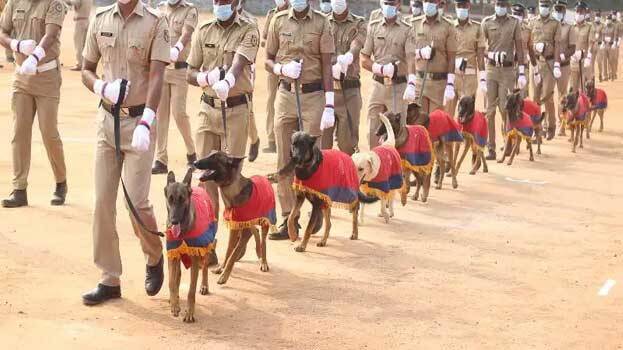 കേരള പൊലീസ് അക്കാദമിയിൽ നായകളെ വാങ്ങിയതിൽ ക്രമക്കേട്