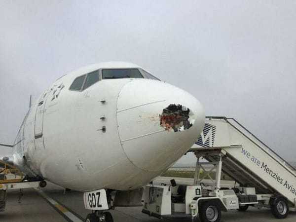 ഒരു പക്ഷി ഇടിച്ചാല്‍ വിമാനത്തിന് എന്ത് സംഭവിക്കുമെന്ന് ഇതാ കണ്ടോളൂ