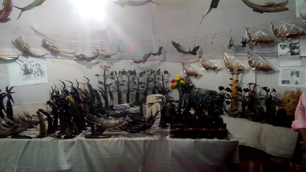 കാളക്കൊമ്പിലെ  ഗോപീജാലം