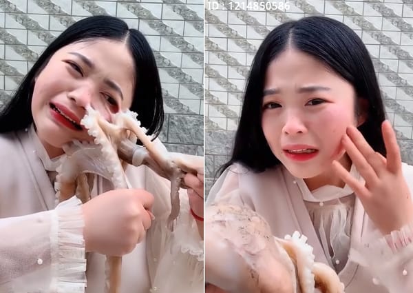 ലൈവായി ജീവനുള്ള നീരാളിയെ തിന്നാന്‍ നോക്കി;  എട്ടിന്റെ പണി തിരിച്ച്  കൊടുത്ത്  നീരാളി; വീഡിയോ