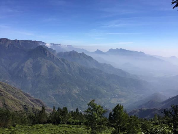 മൂന്നാർ എന്ന ഭൂമിയിലെ സ്വർഗത്തിലേക്ക്!