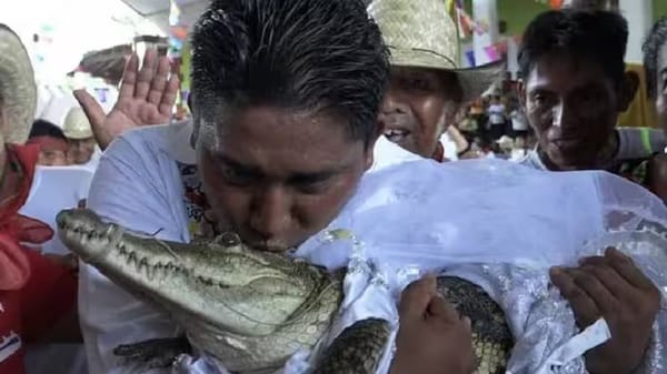 മുതലയെ വിവാഹം ചെയ്ത് മേയർ