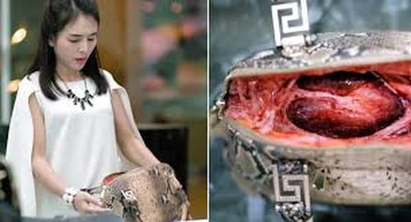 ലെതെര്‍ ഉത്പന്നങ്ങളെ സ്നേഹിക്കും മുന്പ് ഈ വീഡിയോ ഒന്ന് കാണൂ