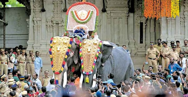 പൂര ലഹരിയിൽ  തൃശ്ശൂർ; പഞ്ചവാദ്യത്തിലലിഞ്ഞ് നാടും നാട്ടാരും