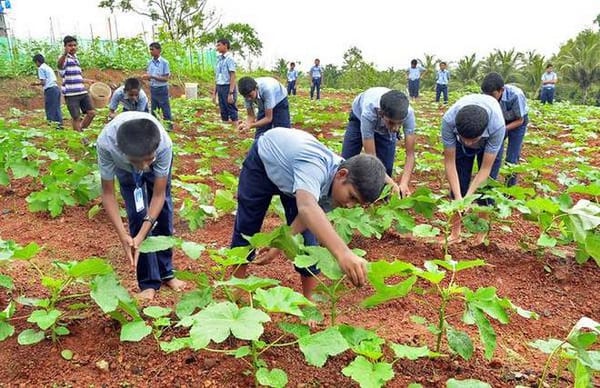 ഹരിതവിപ്ലവത്തിന്റെ തുടക്കം....