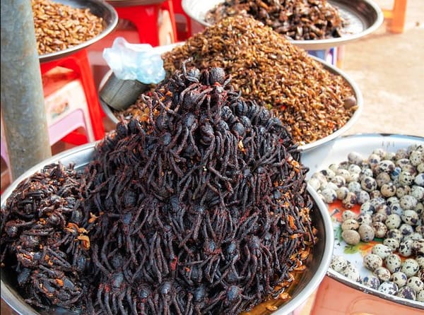 വറുത്ത എലി, വേവിക്കാത്ത നീരാളി, പൊരിച്ച ചിലന്തി, സ്രാവിന്റെ പുളിപ്പിച്ച മാംസം; ഇതാണ് ഈ നാട്ടുകാരുടെ വിചിത്രമായ ഭക്ഷണങ്ങള്‍