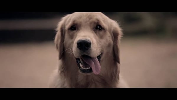 ഇതാണ് നമ്മ പറഞ്ഞ നടന്‍.  ഇവനാണ് നടന്‍!!