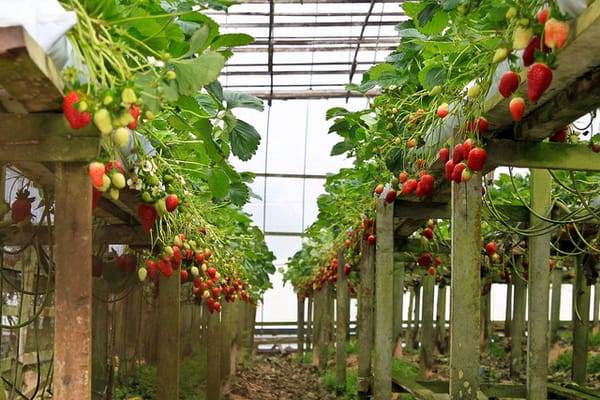 മലേഷ്യയിൽ പോകുന്പോൾ ഇതൊന്നും മിസ് ചെയ്യല്ലേ….