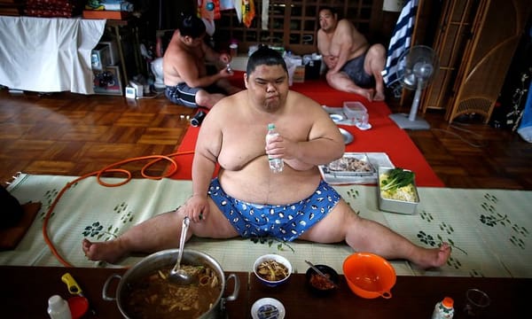 സുമോ ഗുസ്തിക്കാരുടെ ജീവിതം അത്ര ലളിതമല്ല; നമ്മള്‍ കാണുന്നതില്‍ അപ്പുറം സുമോ ഗുസ്തിക്കാരുടെ ജീവിതത്തെ കുറിച്ചു അറിയാത്ത ചില രഹസ്യങ്ങള്‍