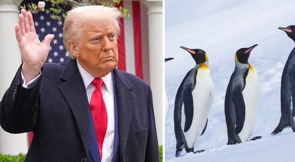 പെന്‍ഗ്വിനുകള്‍ മാത്രം അധിവസിക്കുന്ന ദ്വീപുകള്‍ക്ക് മേലും നികുതി ചുമത്തി ട്രംപ്; പരിഹസിച്ച് സോഷ്യല്‍ മീഡിയ