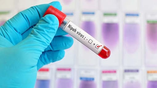 കേരളത്തിൽ വീണ്ടും നിപ്പ വൈറസ് ബാധ സ്ഥിരീകരിച്ചു; യുവാവിനെ കൂടാതെ നാല് പേര്‍ കൂടി അതീവ നിരീക്ഷണത്തിൽ