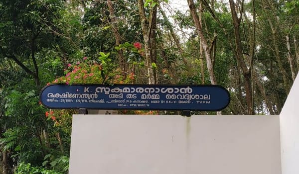 പത്മനാഭന്‍റെ മണ്ണിലെ അശ്വനീ ദേവൻ