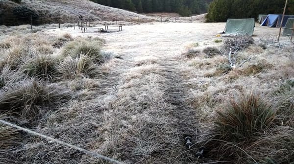 തണുത്തുറഞ്ഞ് മൂന്നാർ, താപനില മൈനസ് ഒന്നിൽ; ശബരിമലയിൽ ഈ സീസണിലെ ഏറ്റവും കൂടിയ തണുപ്പ്