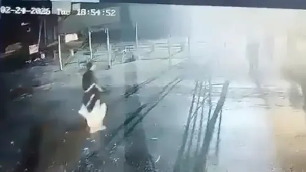 On Camera, Suicide Bomber Blows Himself Up Near Pak Checkpost, 4 Cops Dead